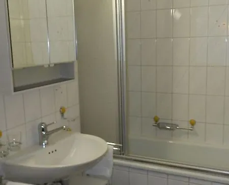 Alpina Otel 3*