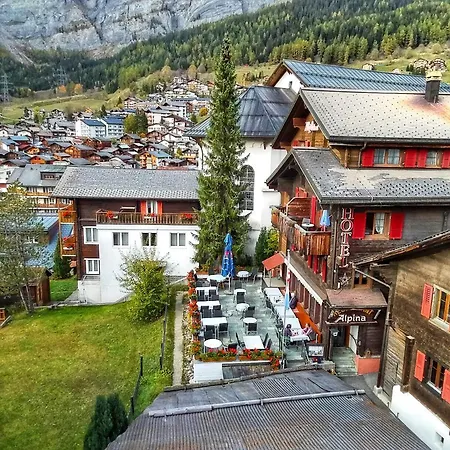 阿尔皮纳酒店 酒店 洛伊克巴德