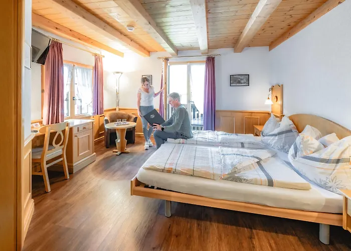 Hotel Alpina 3*